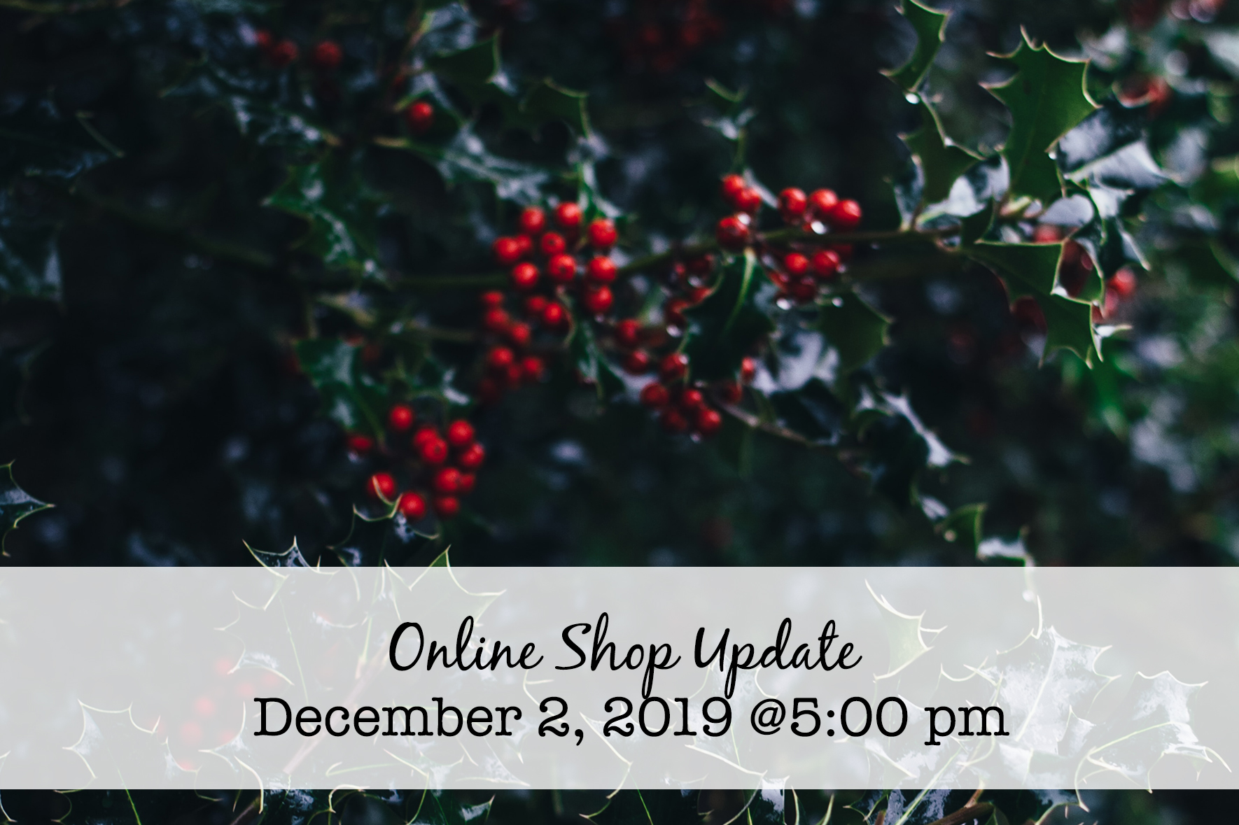 december2onlineshopupdate
